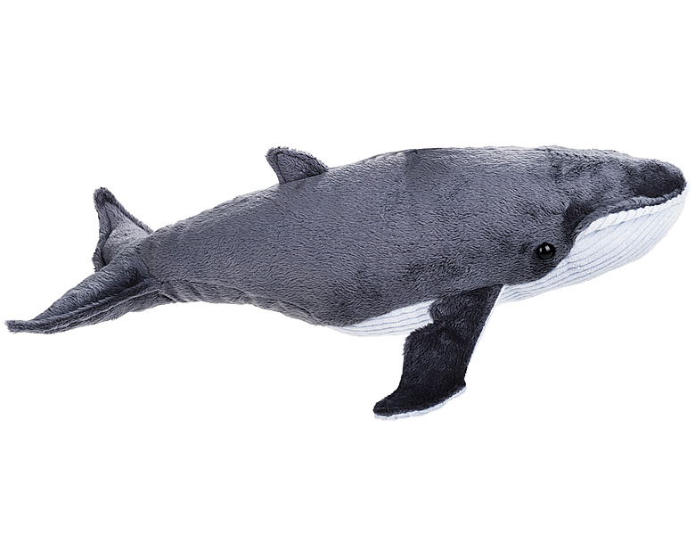 Lelly Plsch National Geographic Wal 40cm | Meerestiere Plsch