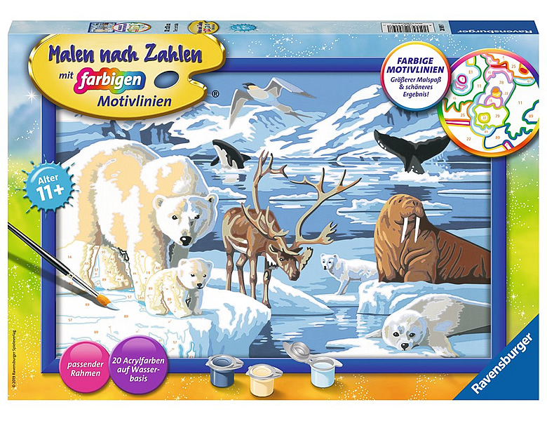 Ravensburger Malen nach Zahlen Farbige Motivlinien Tiere der Arktis