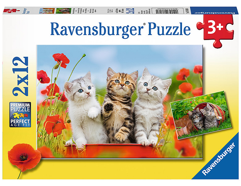 Ravensburger Puzzle Katzen auf Entdeckungsreise 2x12