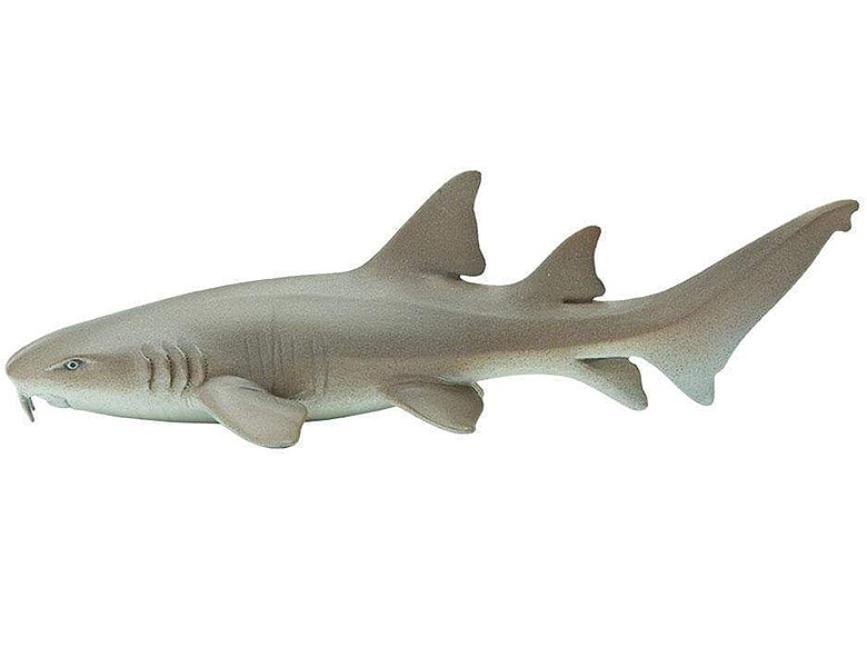 Safari Ltd. Sea Life Ammenhai | Meerestiere