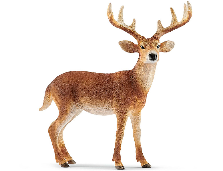 Schleich Wild Life Weisswedelhirsch | Waldtiere